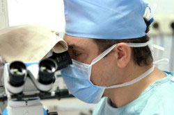 Исследования спермы под микроскопом Исследования спермы под микроскопом