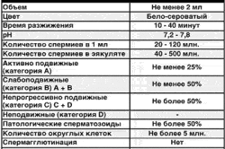 Результаты спермограммы Результаты спермограммы