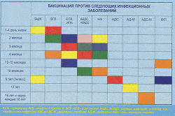 Таблица прививок Таблица прививок