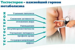 Тестостерон Тестостерон