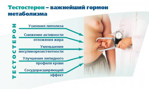 Тестостерон Тестостерон