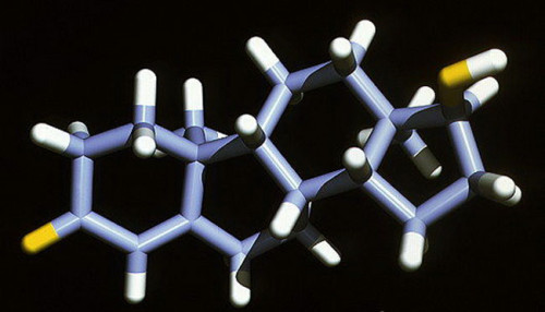 Тестостерон Тестостерон