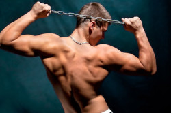 Мускулатура мужчины