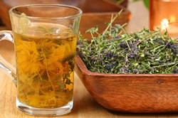 Травы от водянки яичка Травы от водянки яичка