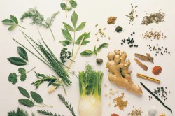 Натуральный состав препарата Натуральный состав препарата