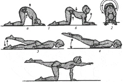 Легкие упражнения для укрепления мышц Легкие упражнения для укрепления мышц