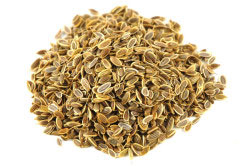 Семена укропа Семена укропа