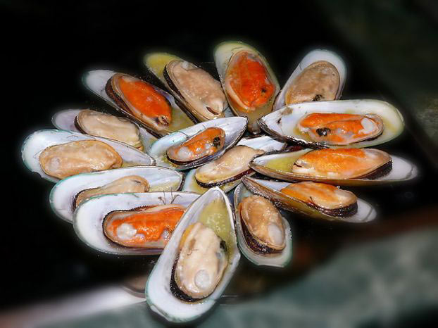 Мидий Мидий