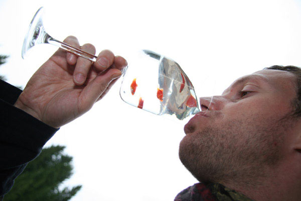 Употребление алкогольных напитков Употребление алкогольных напитков