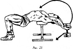 Упражнение, направленное на рост мышц грудной клетки Упражнение, направленное на рост мышц грудной клетки