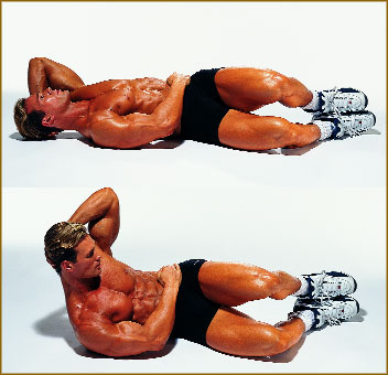 Упражнения на мышцы живота Упражнения на мышцы живота