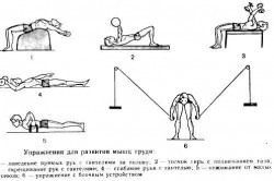 Упражнения для мышц груди Упражнения для мышц груди