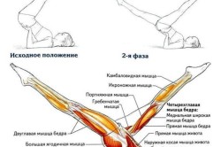 Упражнения для сжигания жира внизу живота Упражнения для сжигания жира внизу живота