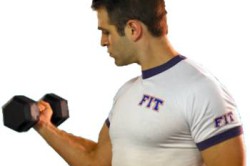 Упражнения с гантелями Упражнения с гантелями