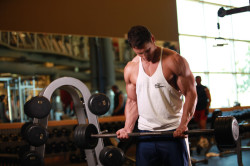 Повышенная норма АСТ из-за физических нагрузок Повышенная норма АСТ из-за физических нагрузок