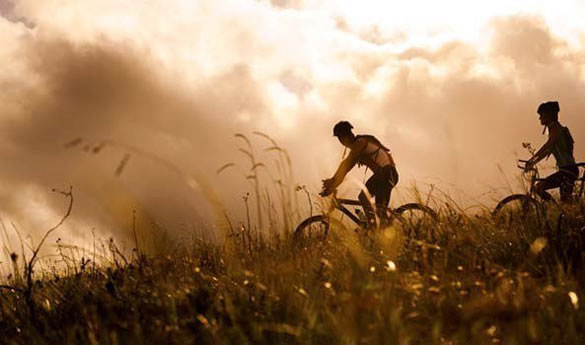 Велопрогулка