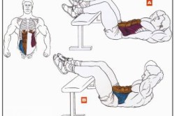 Рисунок 1. Упражнения для верхних кубиков Рисунок 1. Упражнения для верхних кубиков