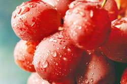 Красный виноград для понижения уровня тестостерона Красный виноград для понижения уровня тестостерона