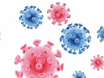 Вирус иммунодефицита человека Вирус иммунодефицита человека