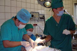 Вскрытие фурункула Вскрытие фурункула