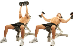 Грудные упражнения с гантелями Грудные упражнения с гантелями