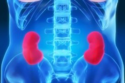 Запрет приема Простанорма при остром гломерулонефрите Запрет приема Простанорма при остром гломерулонефрите