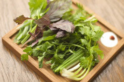 Петрушка, кинза, укроп Петрушка, кинза, укроп