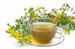 Отвар зверобоя